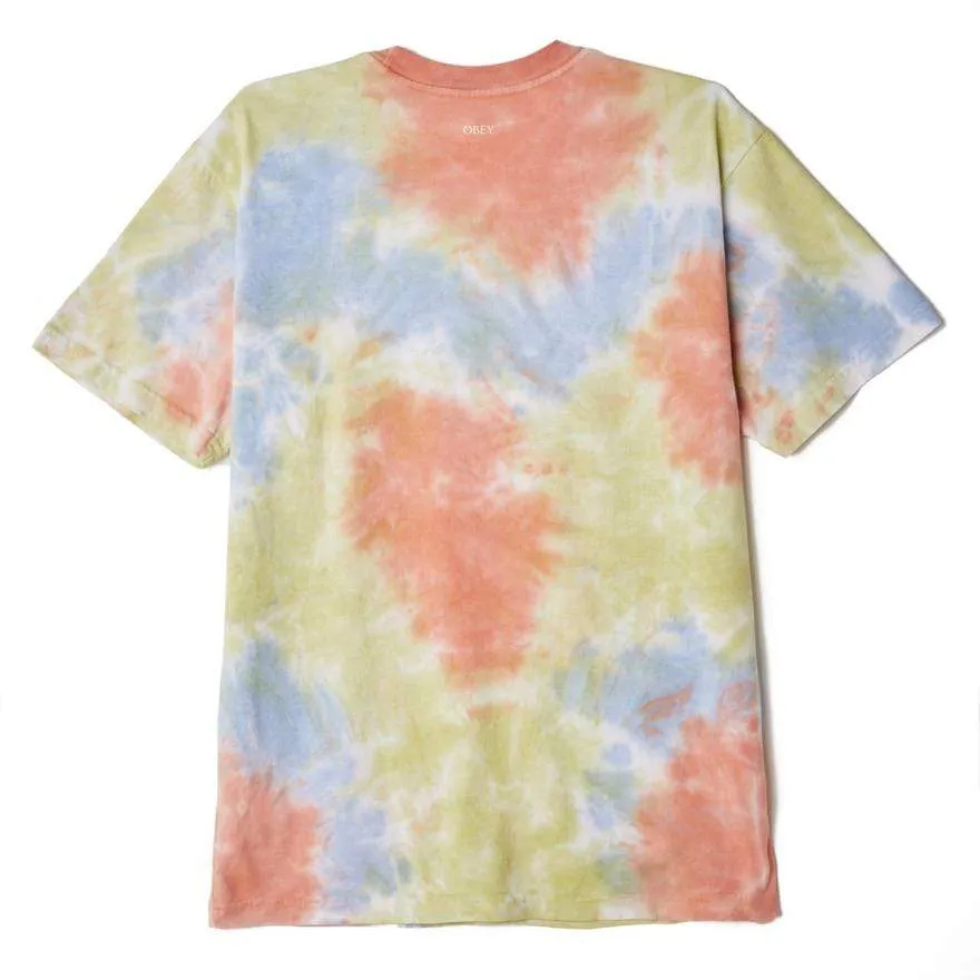 Fruits & Mushrooms Heavyweight Blotch Tie Dye Tee Humus Blotch