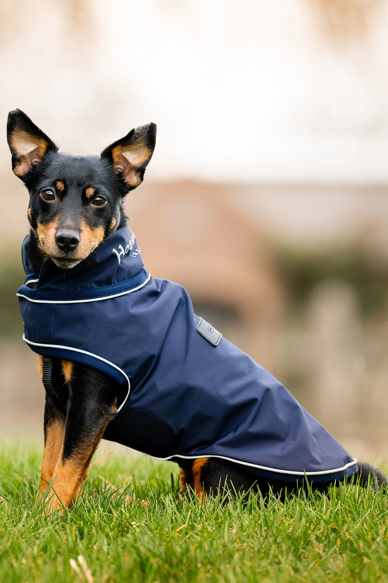 Horseware Signature Impermeabile per Cani