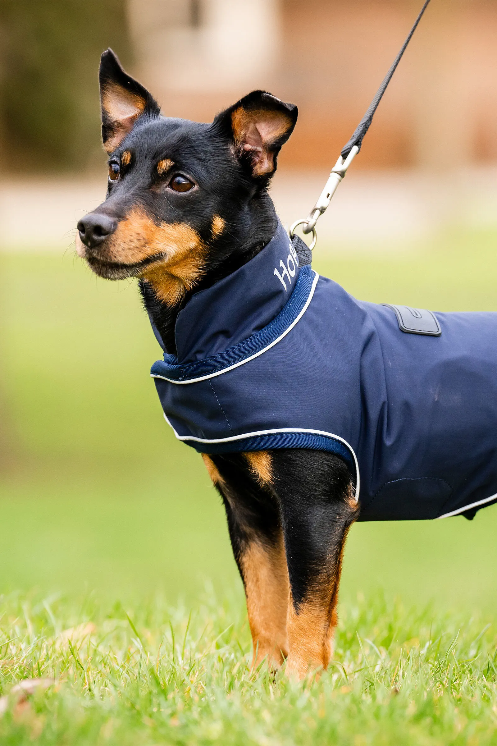Horseware Signature Impermeabile per Cani
