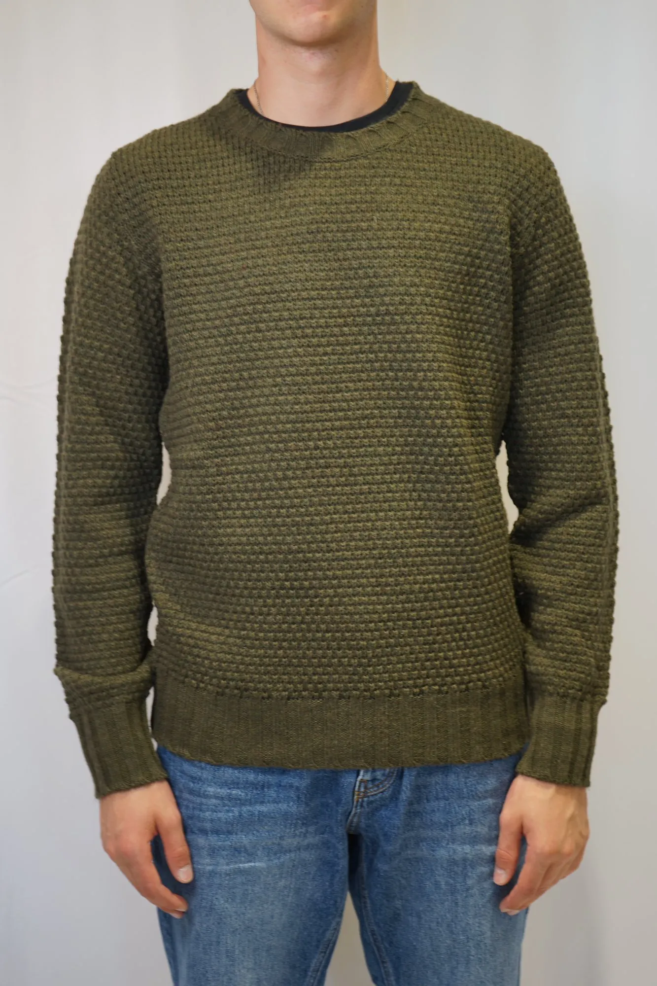 Maglia giro collo Darwin